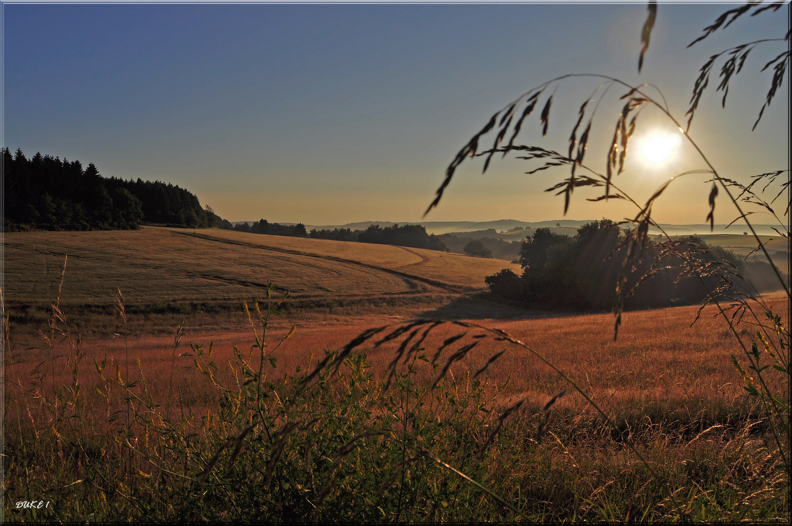 Sonnenaufgang im Naturpark Eifel .