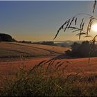 Sonnenaufgang im Naturpark Eifel .