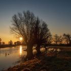 Sonnenaufgang im Naturpark Westhavelland