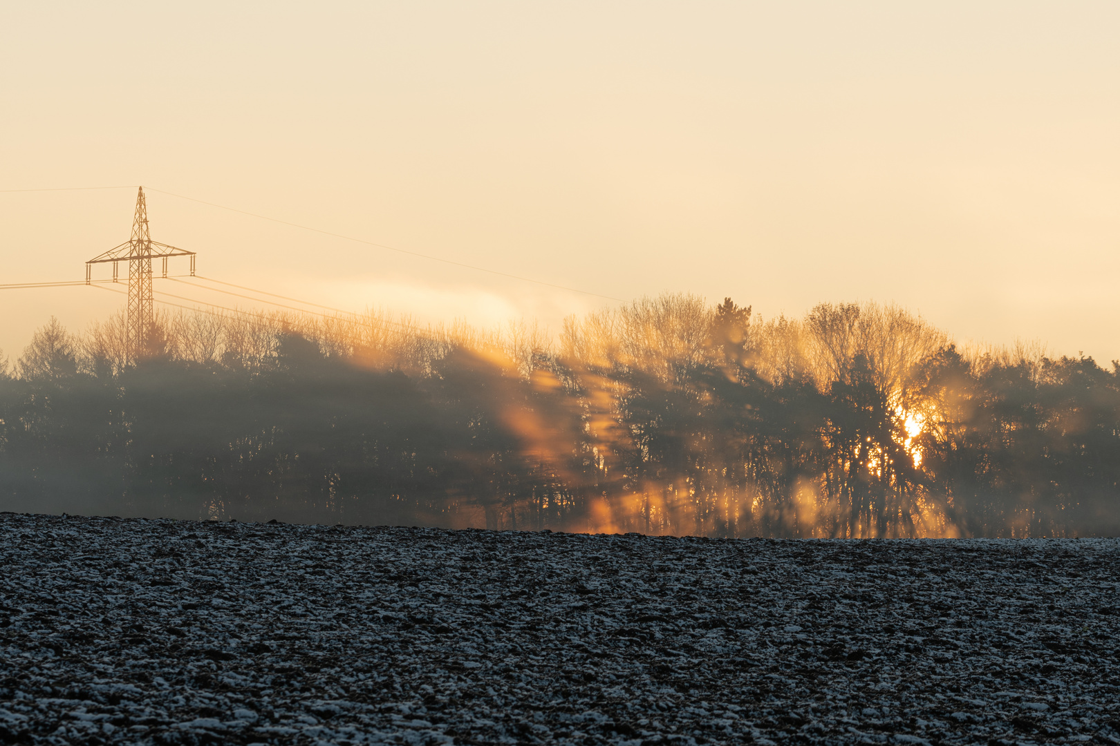 Sonnenaufgang im Naturschutzgebiet "Brachenleite" 