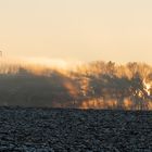 Sonnenaufgang im Naturschutzgebiet "Brachenleite" 