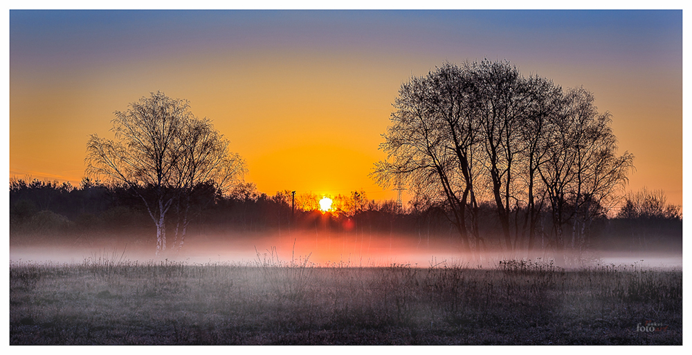 Sonnenaufgang im Naturschutzgebiet nähe Obertshausen