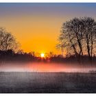 Sonnenaufgang im Naturschutzgebiet nähe Obertshausen