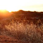 Sonnenaufgang im Naturschutzgebiet Ria Formosa