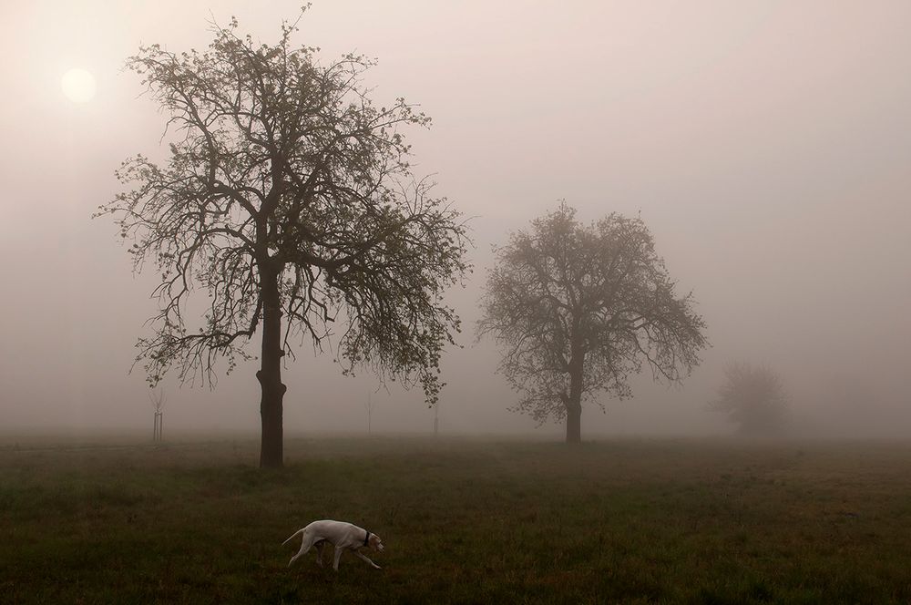 Sonnenaufgang im Nebel