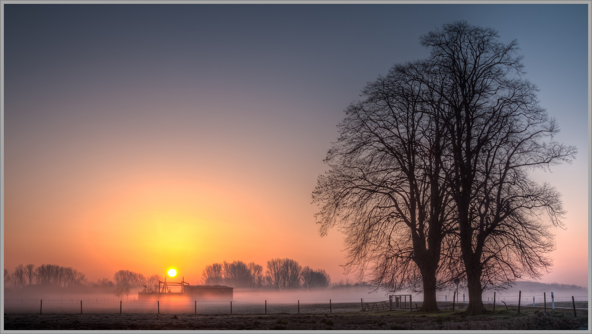 Sonnenaufgang im Nebel #01