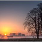 Sonnenaufgang im Nebel #01