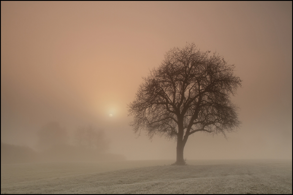 Sonnenaufgang im Nebel