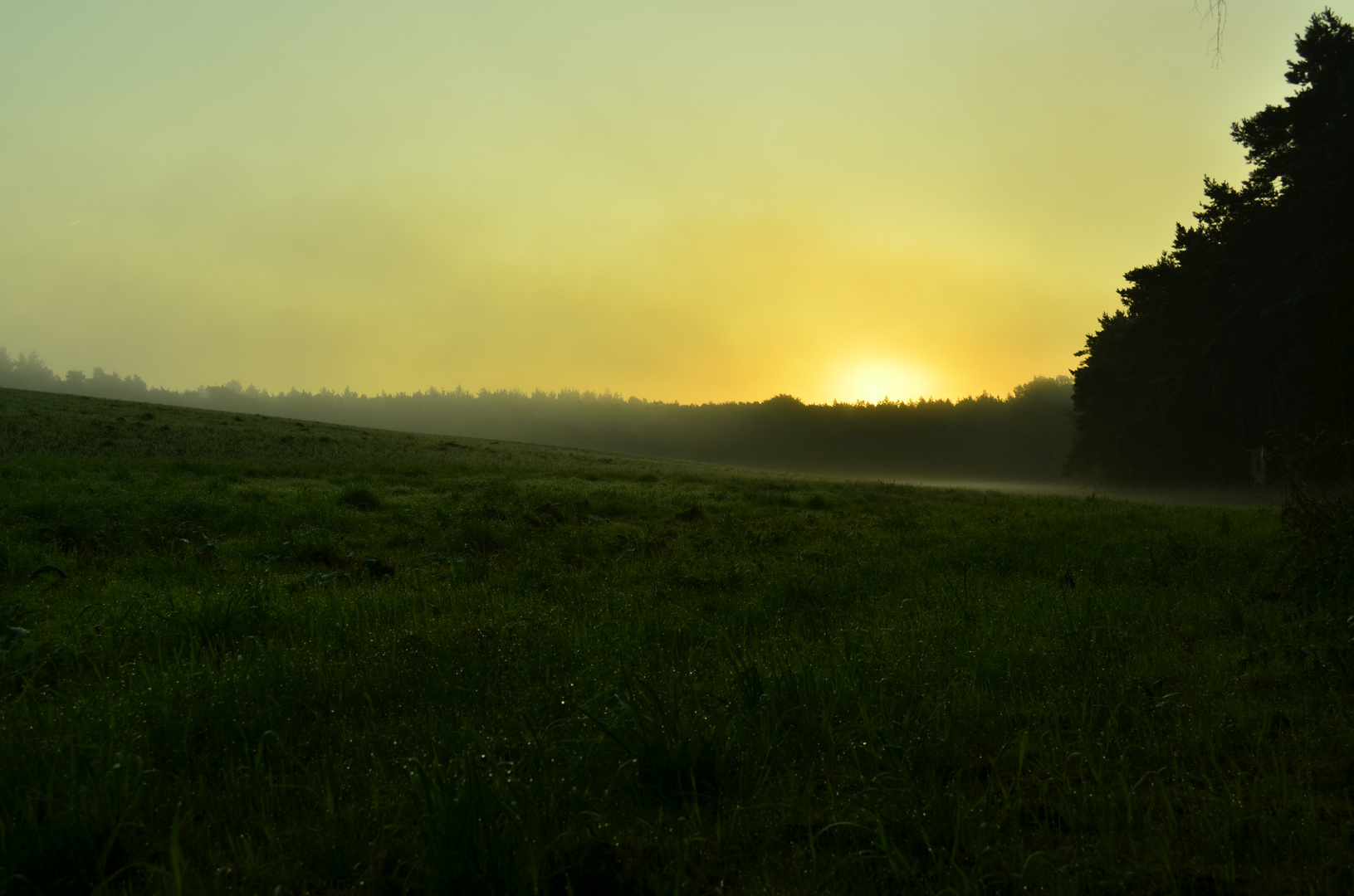 Sonnenaufgang im Nebel