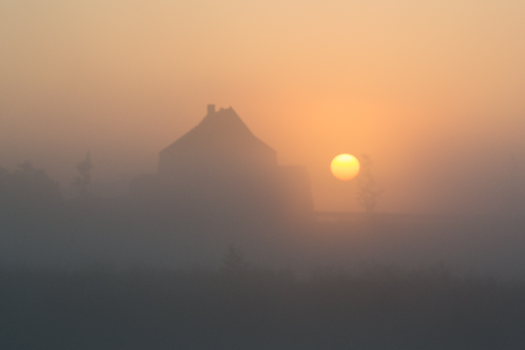 Sonnenaufgang im Nebel