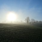 Sonnenaufgang Im Nebel