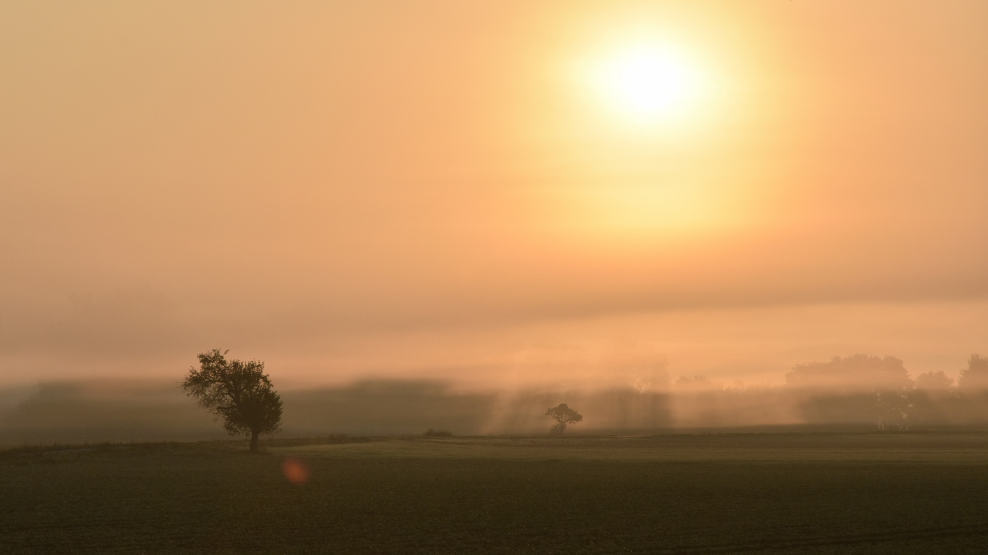 Sonnenaufgang im Nebel