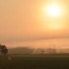 Sonnenaufgang im Nebel