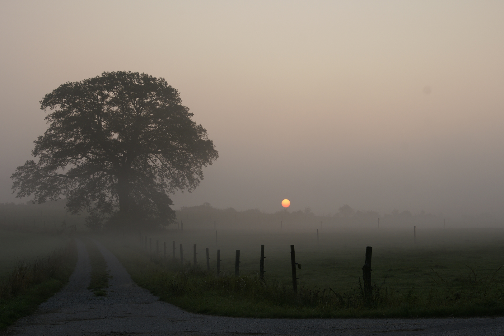 Sonnenaufgang im Nebel