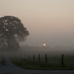 Sonnenaufgang im Nebel