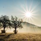 Sonnenaufgang im Nebel