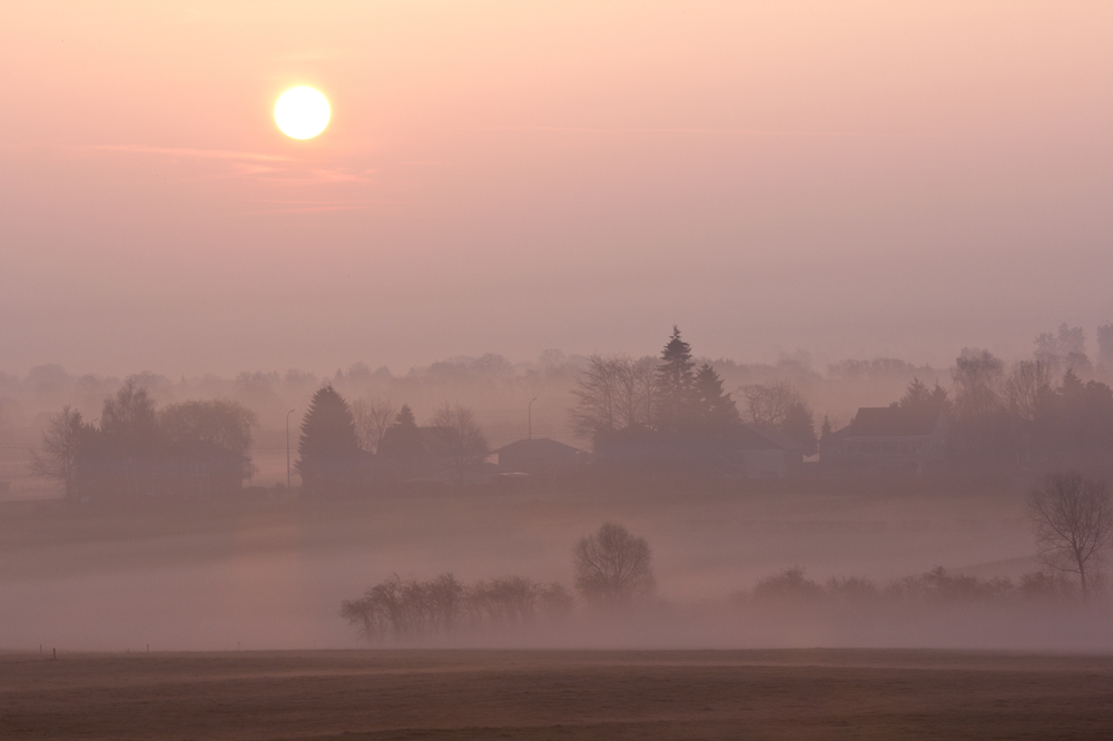 Sonnenaufgang im Nebel (2)