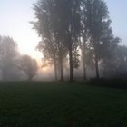 Sonnenaufgang im Nebel