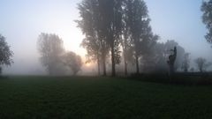 Sonnenaufgang im Nebel