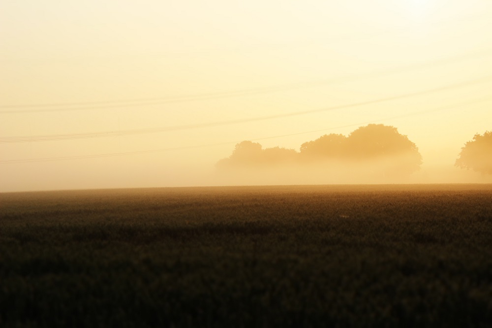 Sonnenaufgang im Nebel