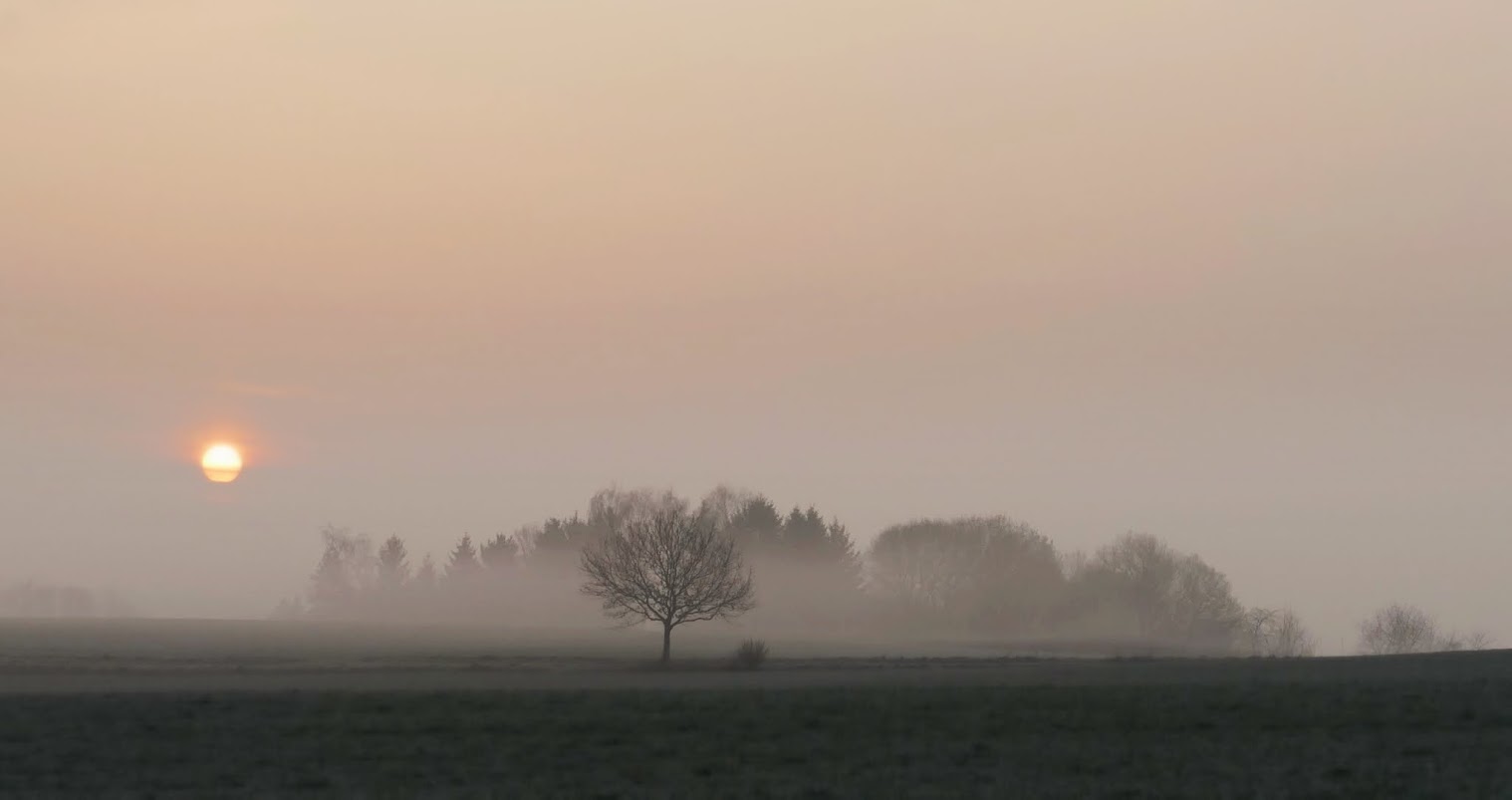 SONNENAUFGANG IM NEBEL