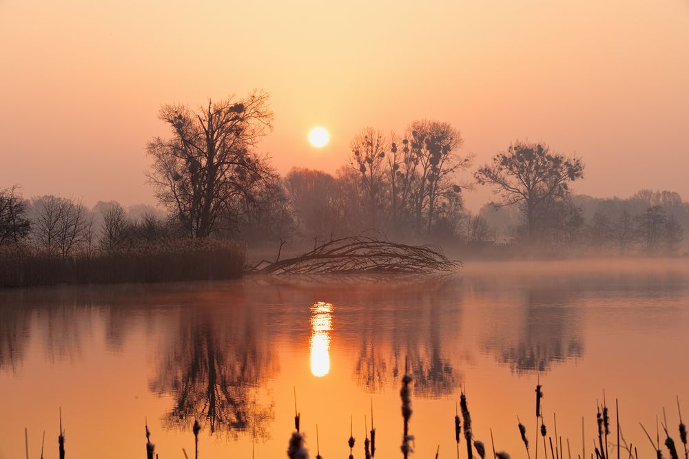 Sonnenaufgang im Nebel