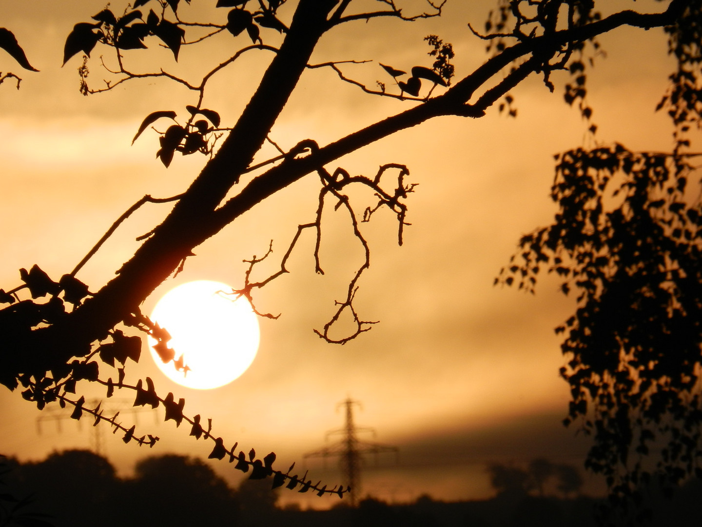 Sonnenaufgang im Nebel