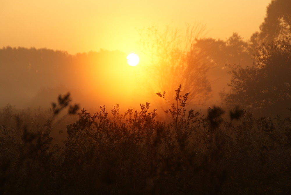 Sonnenaufgang im Nebel