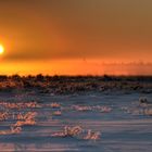 Sonnenaufgang im Nebel