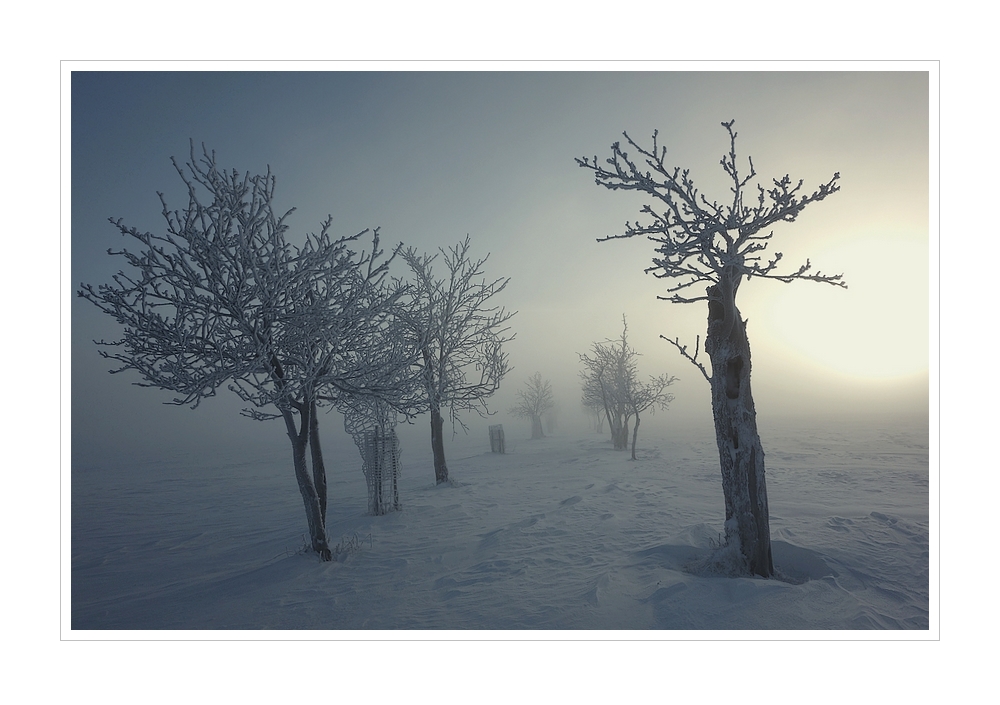 Sonnenaufgang im Nebel