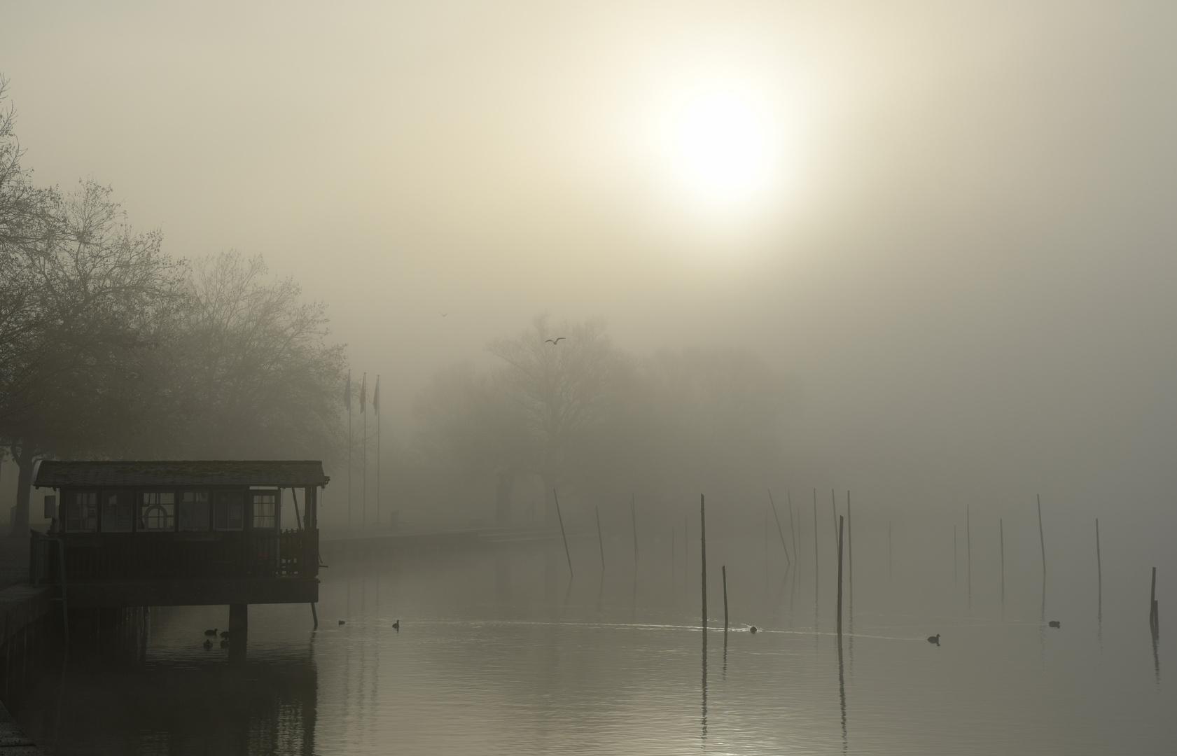 Sonnenaufgang im Nebel