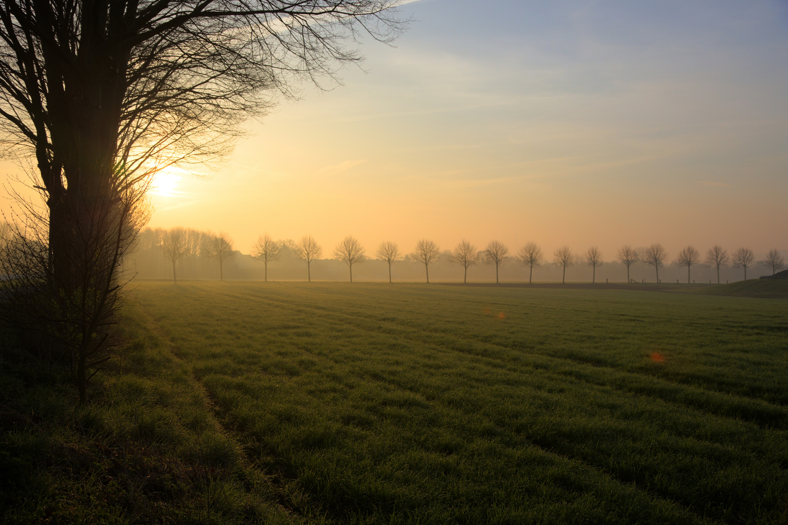 Sonnenaufgang im Nebel