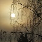 Sonnenaufgang im Nebel