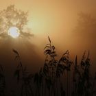 Sonnenaufgang im Nebel