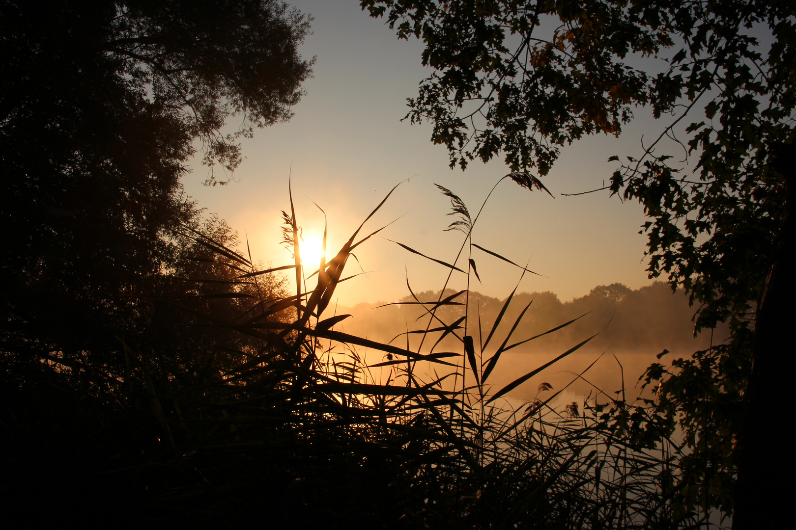 Sonnenaufgang im Nebel