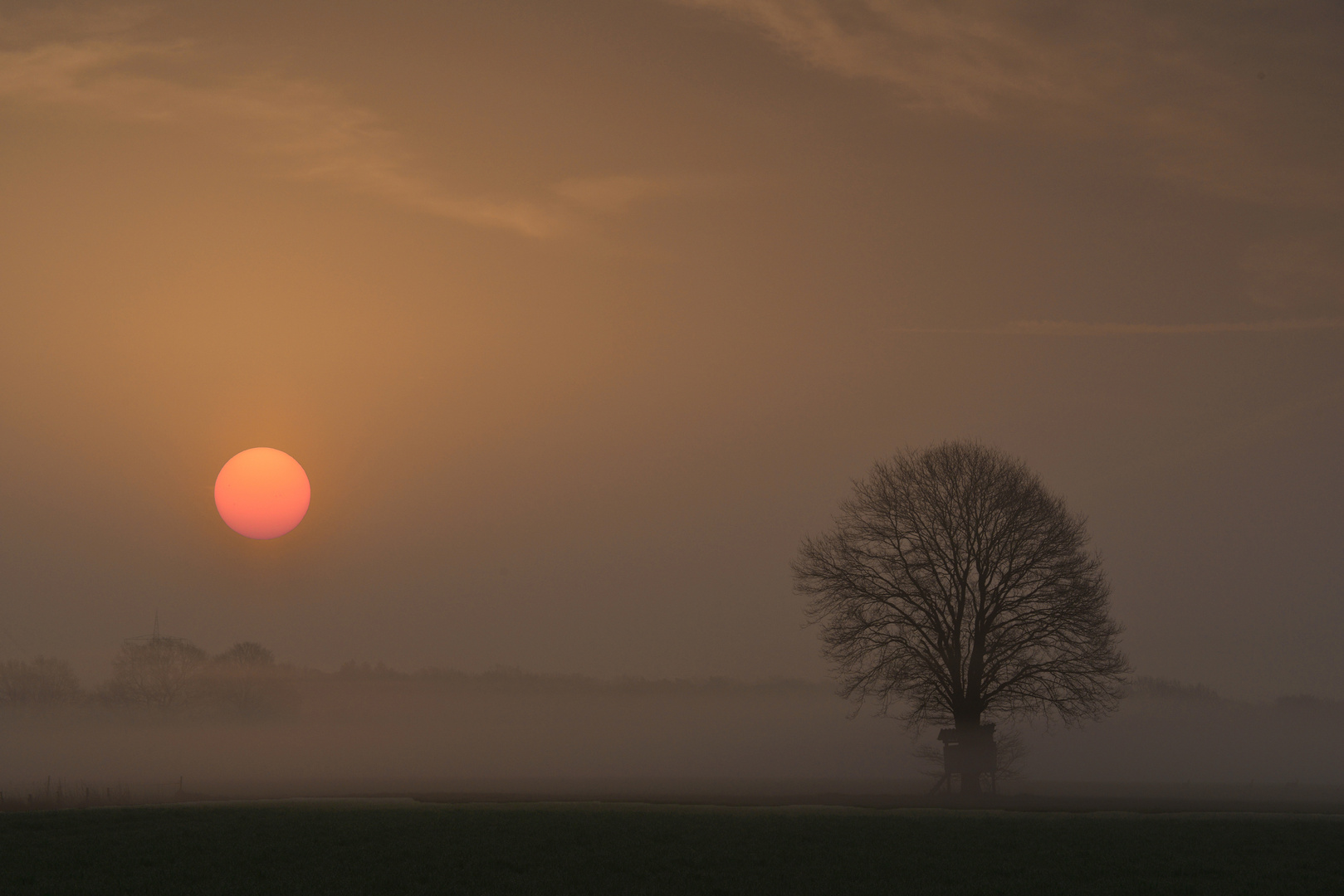 Sonnenaufgang im Nebel