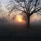 Sonnenaufgang im Nebel