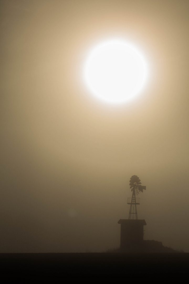 Sonnenaufgang im Nebel