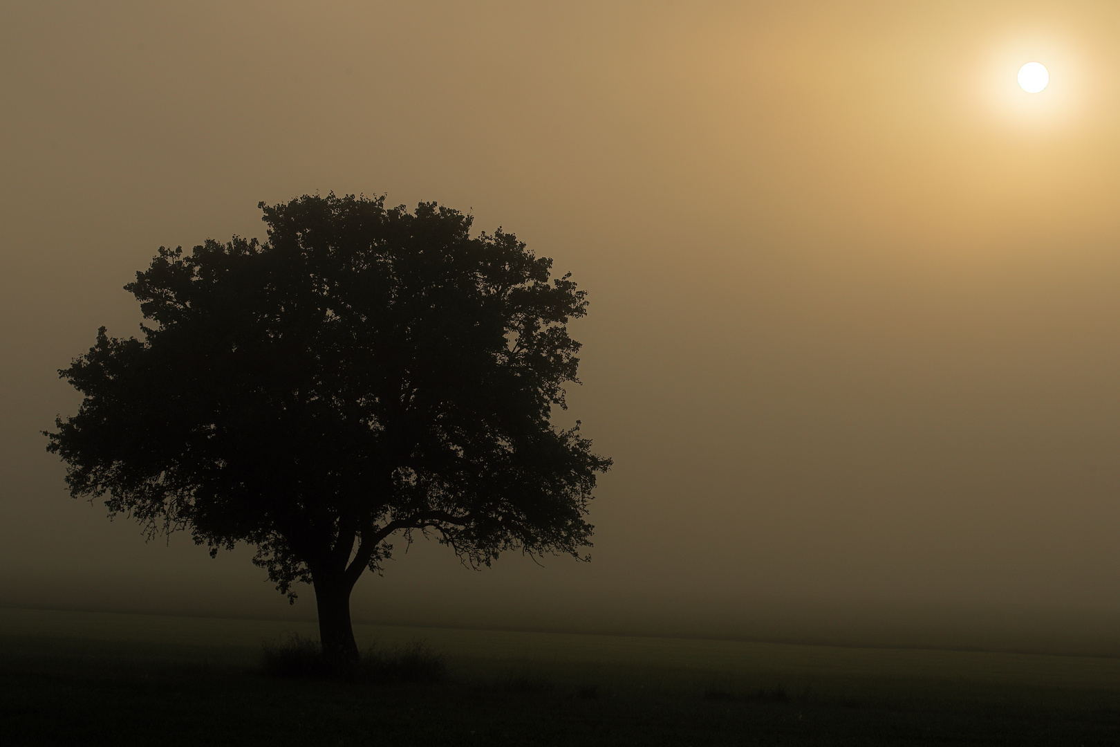 Sonnenaufgang im Nebel