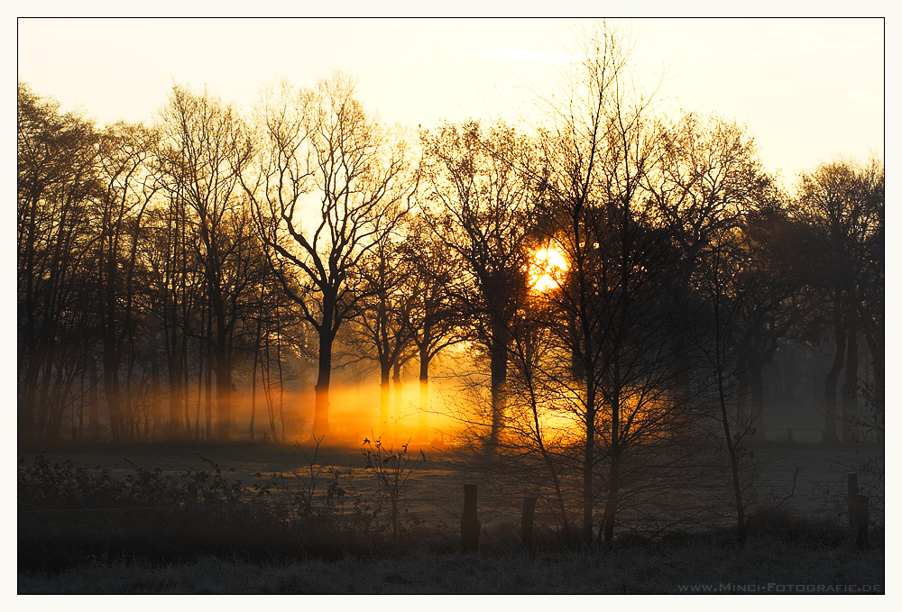 Sonnenaufgang im Nebel