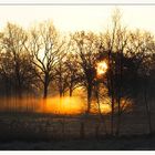 Sonnenaufgang im Nebel