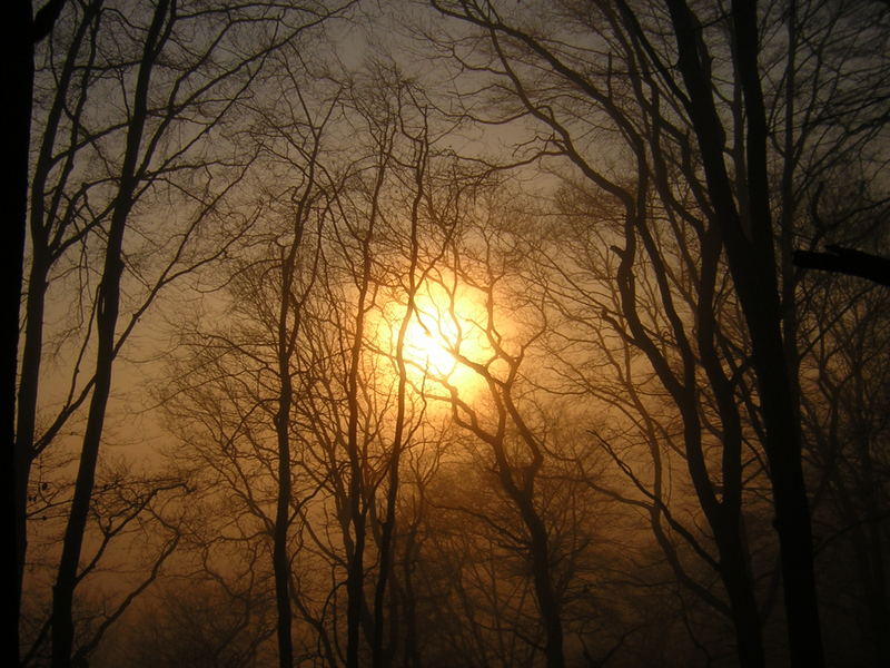 Sonnenaufgang im Nebel