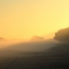 Sonnenaufgang im Nebel