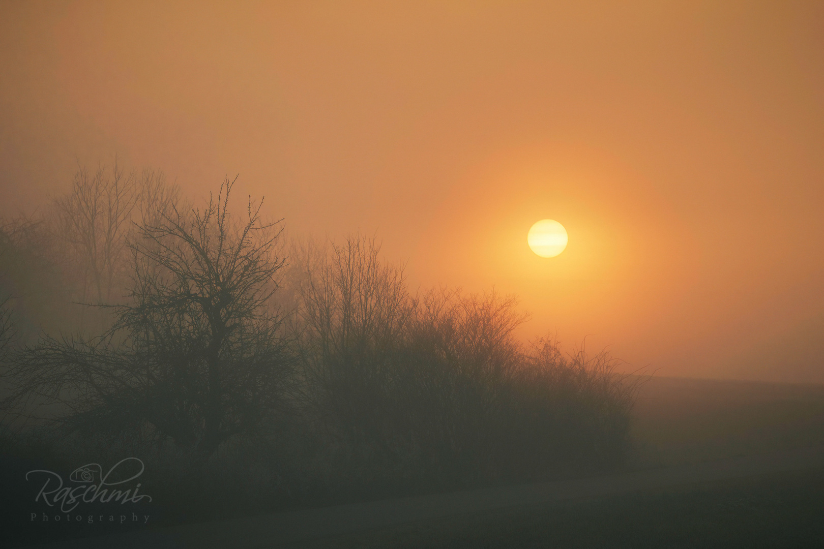 SONNENAUFGANG IM NEBEL