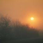 SONNENAUFGANG IM NEBEL