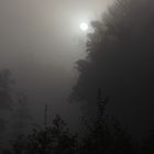   Sonnenaufgang im Nebel