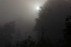   Sonnenaufgang im Nebel