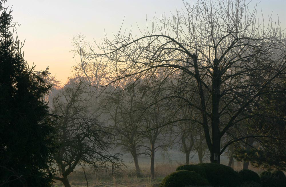 Sonnenaufgang im Nebel