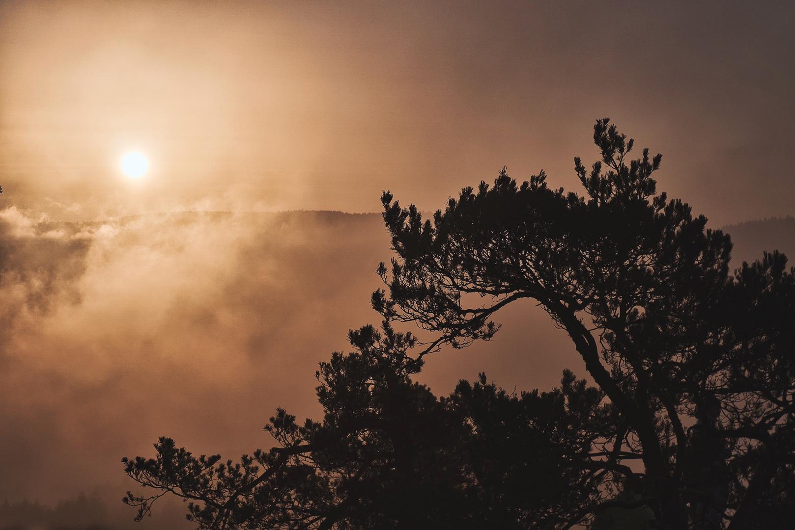 Sonnenaufgang im Nebel