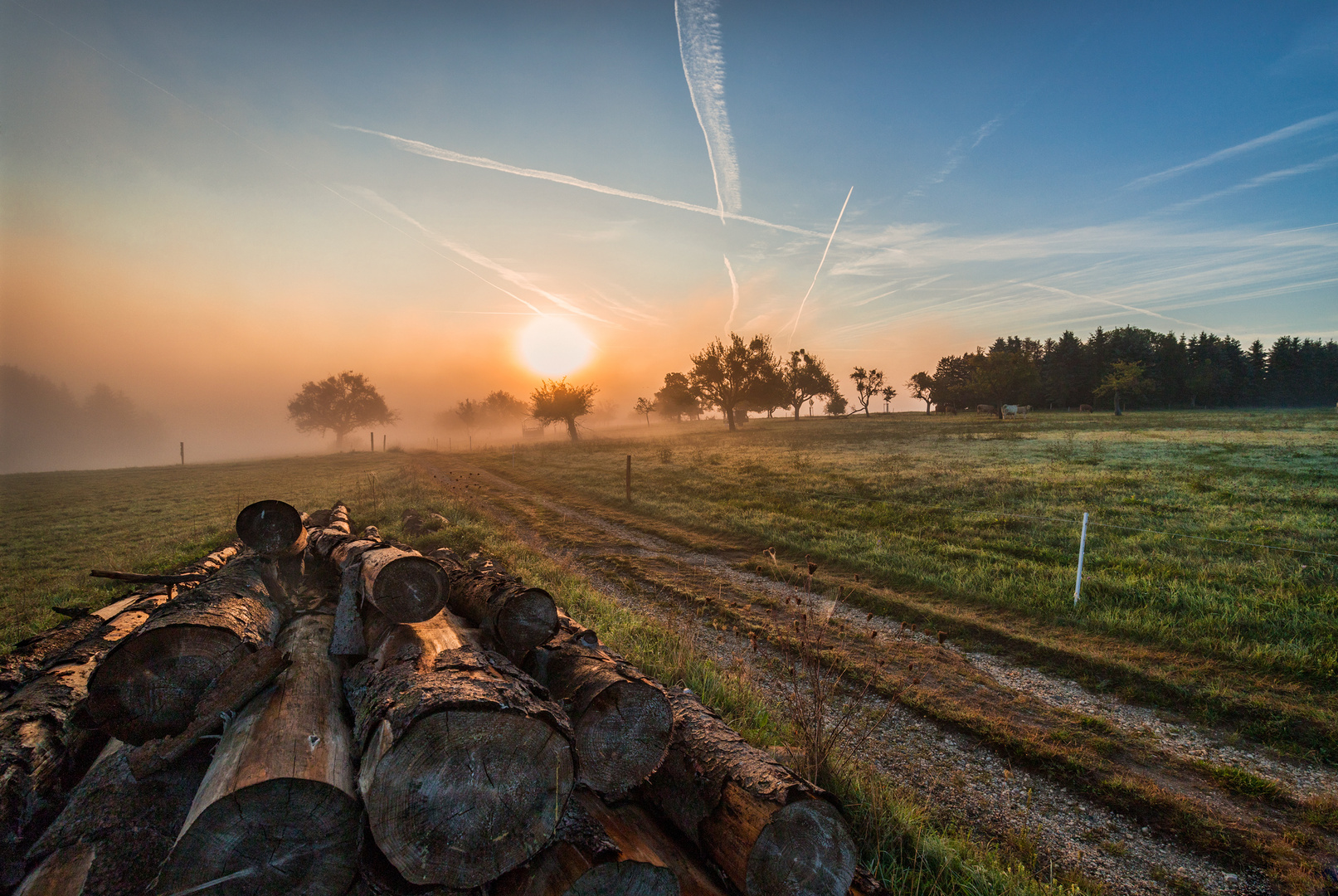 Sonnenaufgang im Nebel